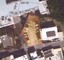 s122132-20250623101351.jpg
